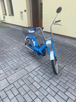 Babeta 207