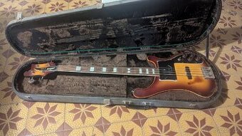 Basová kytara D-Bass