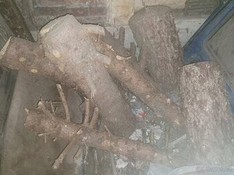 Dřevo ze smrku, smrkové dřevo