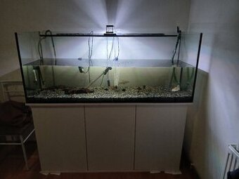 450L akvárium se skříní juwel
