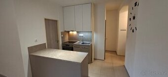 Pronájem bytu 2kk, 45 m2, Dolní Kounice