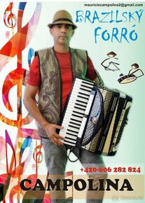 Musicos para tocar Forró Brasileiro - 1
