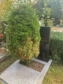 Hrobové místo + náhrobní kámen - 1