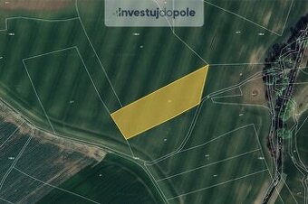 Prodej pole v k.ú. Živanice