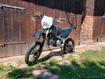 Pitbike 140 Ultimate Scorpion