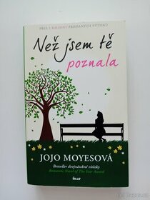 Než jsem tě poznala - Jojo Moyesová