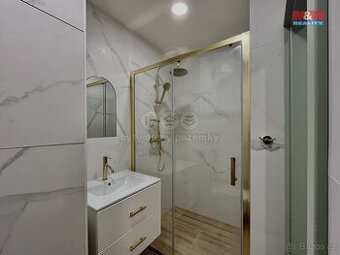 Prodej bytu 2+1, 54 m², DV, Most, ul. J. Vrchlického