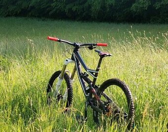Specialized status 1