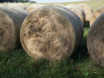 SENO 2025 KULATÉ BALÍKY