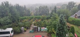 Zahradní jehličnany i listnaté stromky a keře - 800 kusů