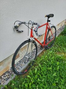 Kolo favorit