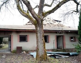Prodám dřevo z ořešáku