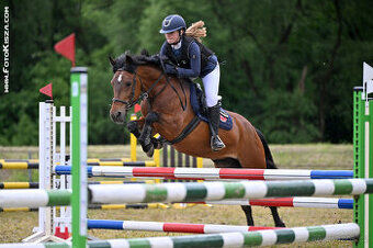 Pony klisna kat. B