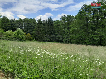Prodej louky, 19732 m², Oselce