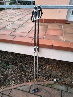 Lyžařské hole - 1