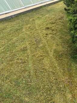 Provzdušnění trávníku