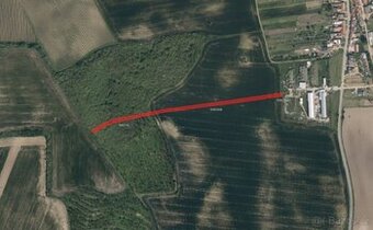Zemědělská půda, prodej, Syrovín, Hodonín
