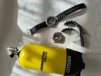 Citizen Aqualand promaster