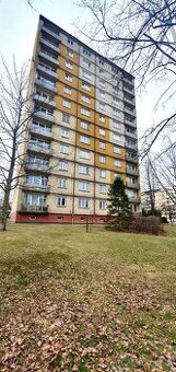 Prodej velkometrážního bytu 1+1 v Českém Těšíně, Hrabinská