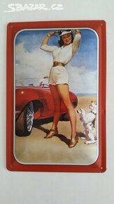 retro plechová cedule sexy žena auto pes