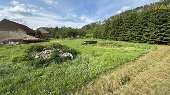 Prodej, Zemědělská usedlost, 2881 m2 - Bransouze