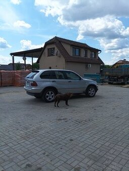 BMW X5 e53 3.0d krásný