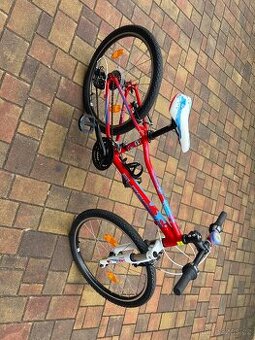 Kolo Superior paint 24”