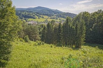 Prodej lesního a zemědělského pozemku Lipová - lázně 12 392 