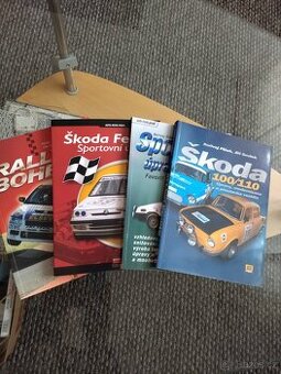 Sportovní úpravy Š 100/110/Favorit/Felicia