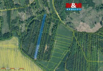 Prodej lesa, 12669 m², Jetětice