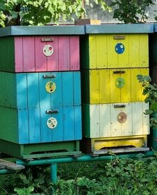 Prodám kompletní vyzimovaná včelstva