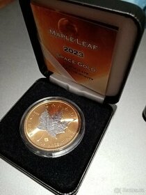 1 oz stříbrná mince Maple Leaf Space Gold 2023
