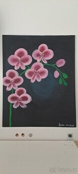 Obraz orchidej