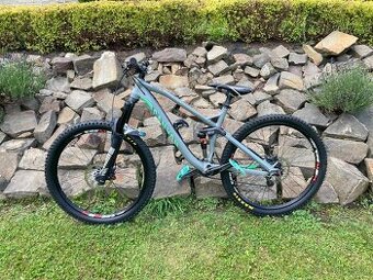 Canyon nerve al