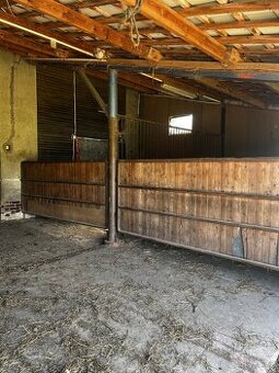 Nabízím volné boxy k ustájení koní – výběh, seno v ceně