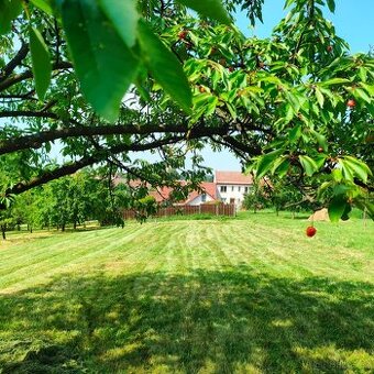 Krásná slunná Zahrada 600m2 -Vlčnov - Jizda kralů
