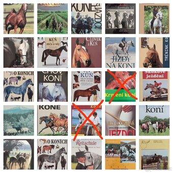 Knihy o koních