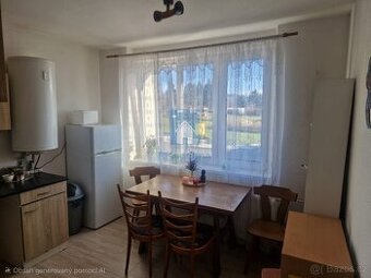 Pronájem bytu 2+1 Chodová Planá, ulice Lučina, 64 m2 - 1