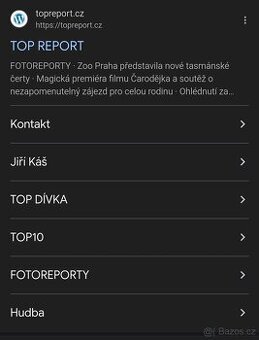Pronájem reklamního baneru na Top Reportu