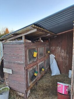 Šestikotcová králíkárna