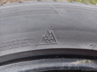 225/55 R19 99H M+S