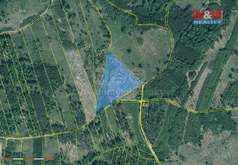 Prodej lesa, 29198 m², Jetětice - 1
