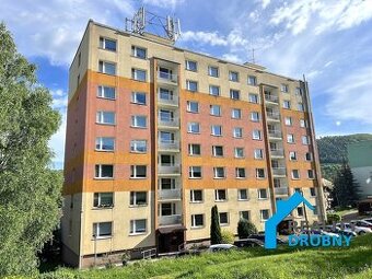 Pronájem, Byty 1+1, 35m2 - Jílové - Kamenná, ev.č. 01226