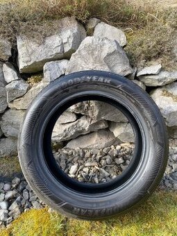 Letní GoodYear EfficientGrip Performance 2