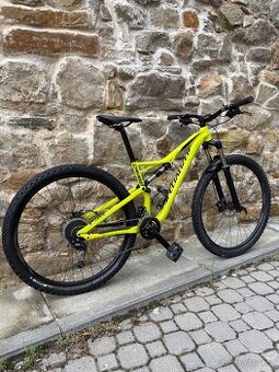 Specialized Camber