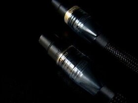 C4Y Alphα™ “Limited Edition“