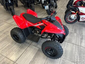 CF Moto Gladiator X110 LE 2026