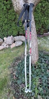 Lyžařské hůlky dětské