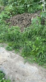 Levne konsky hnůj, větší množství.
