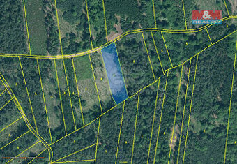 Prodej lesa, 5033 m², Jetětice